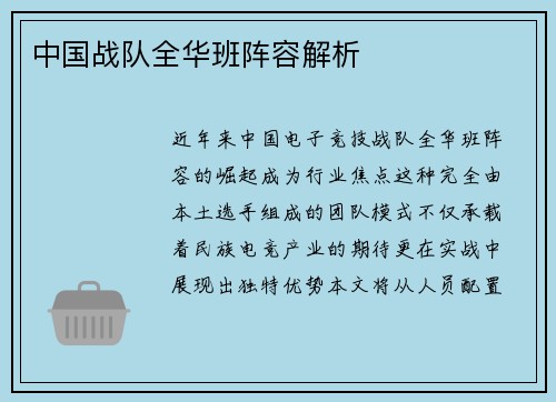 中国战队全华班阵容解析